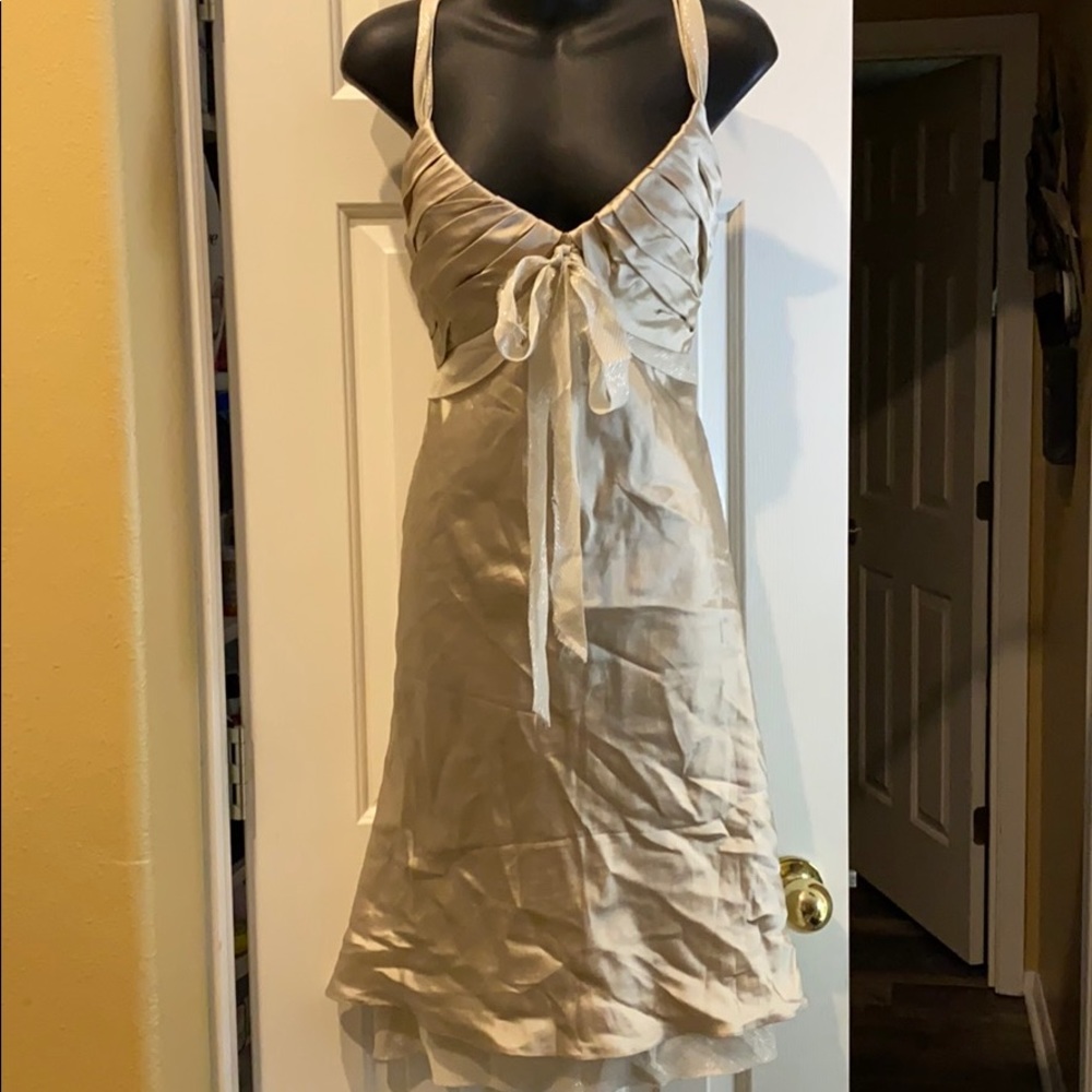 NWT!  Carmen Marc Valvo champagne formal dress